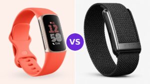 Fitbit Charge 6 vs Whoop 5.0: Screen or Streak?